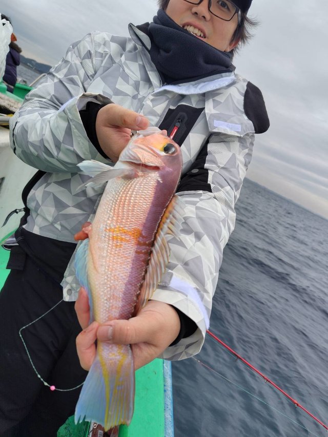 アマダイ(アカアマダイ)