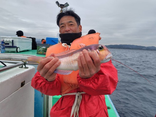 アマダイ(アカアマダイ)