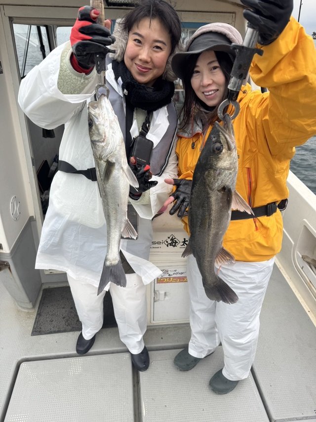 シーバス(スズキ)