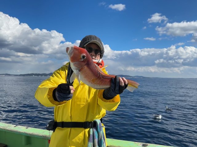 アマダイ(アカアマダイ)