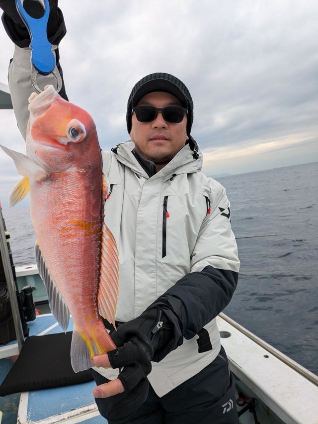 アマダイ(アカアマダイ)