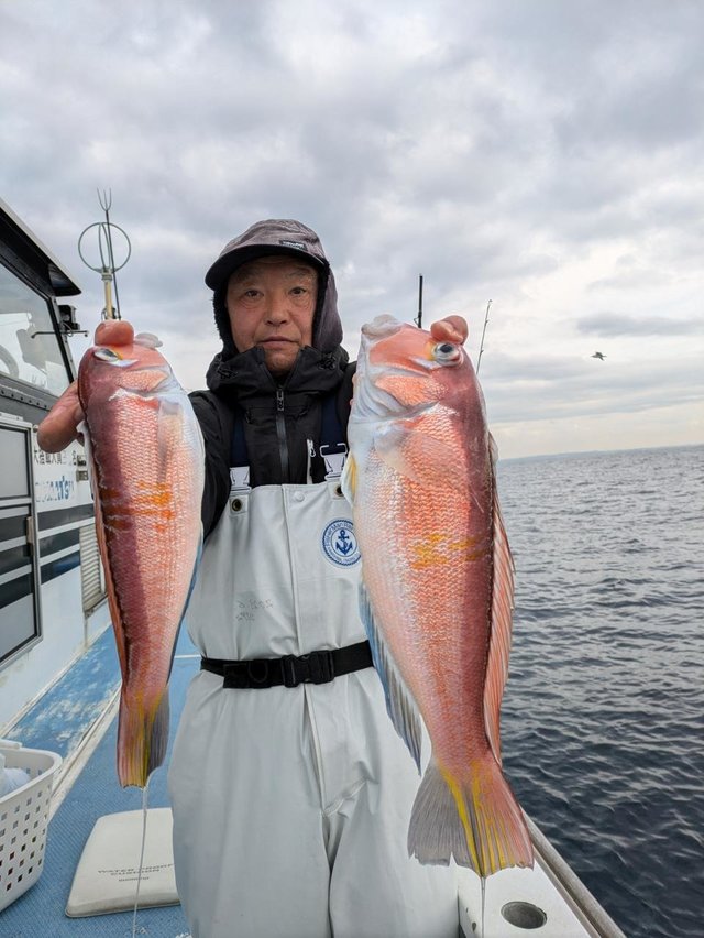 アマダイ(アカアマダイ)