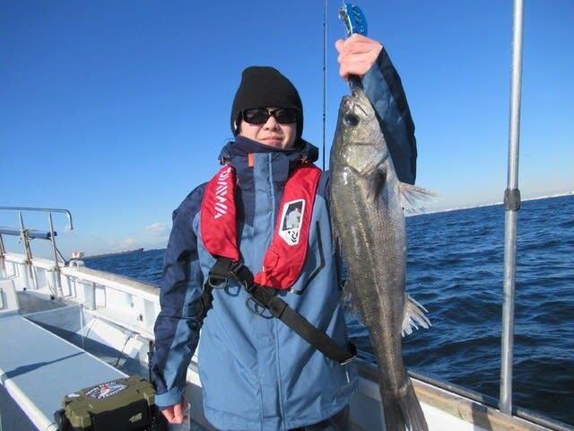 シーバス(スズキ)