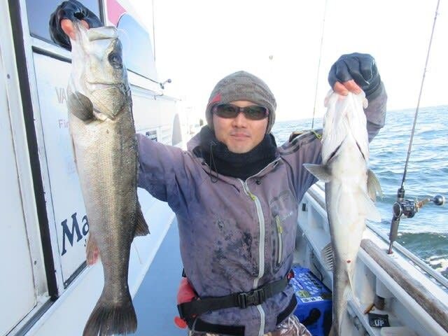 シーバス(スズキ)