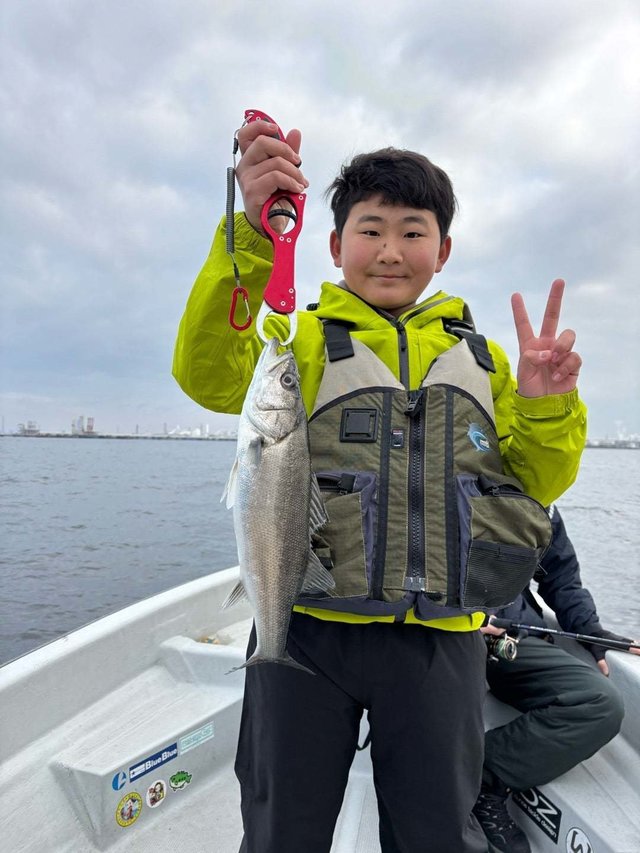 シーバス(スズキ)