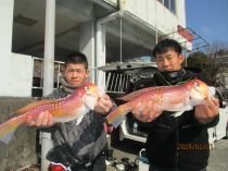 アマダイ(アカアマダイ)