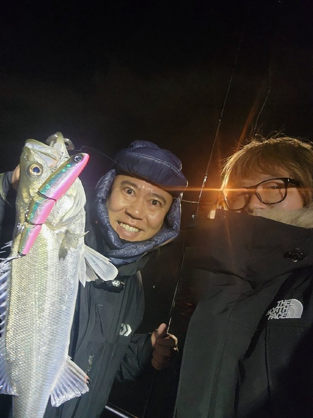 シーバス(スズキ)