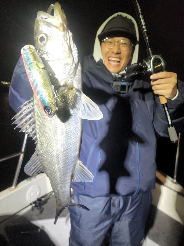 シーバス(スズキ)