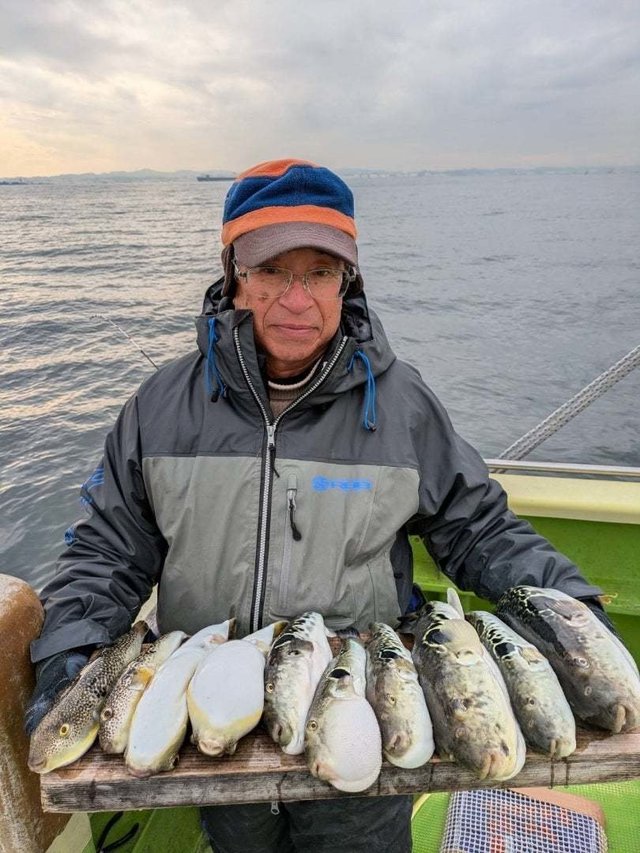 トラフグ・ショウサイフグ