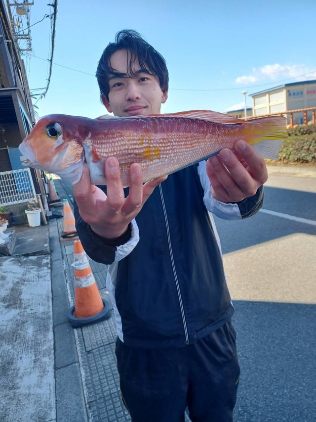 アマダイ(アカアマダイ)