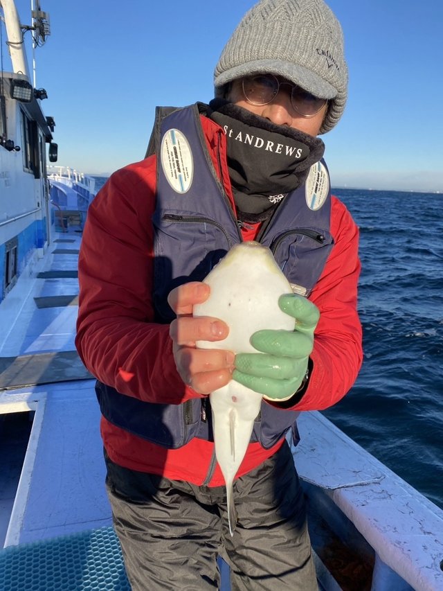 ショウサイフグ