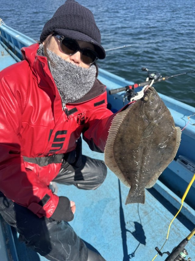 カレイ(マコガレイ)