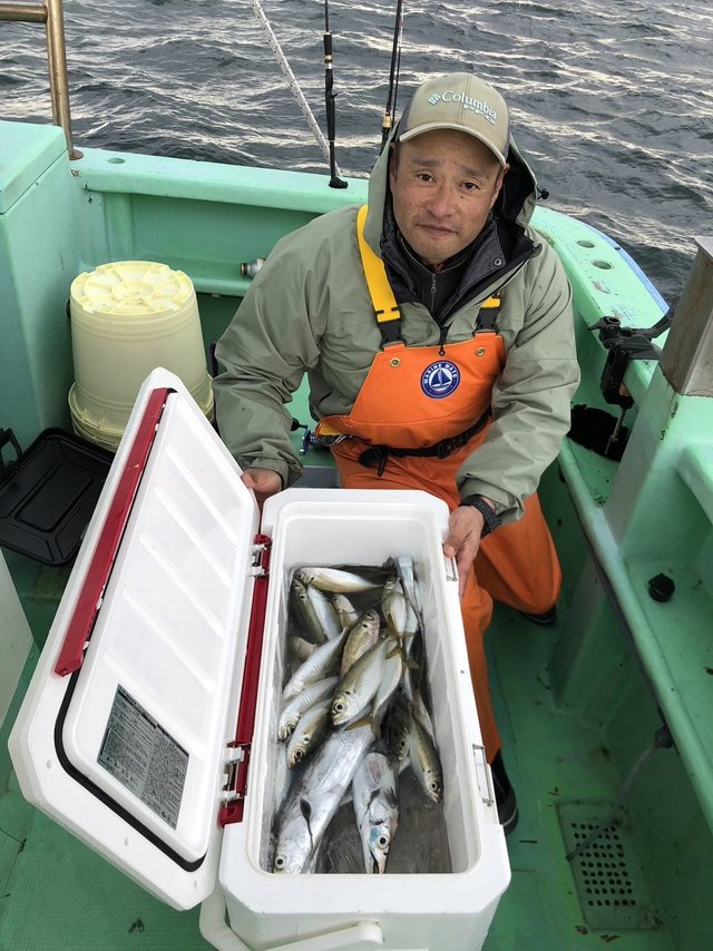 アジ(マアジ)・タチウオ