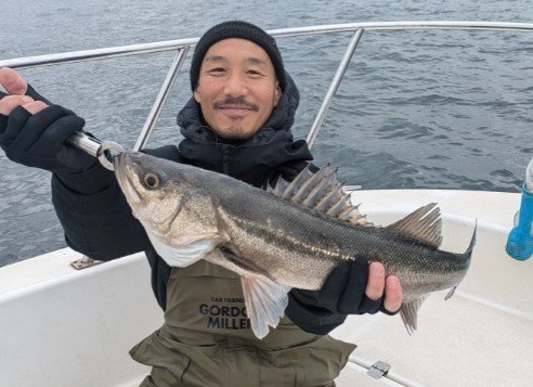 シーバス(スズキ)