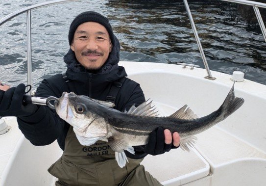 シーバス(スズキ)