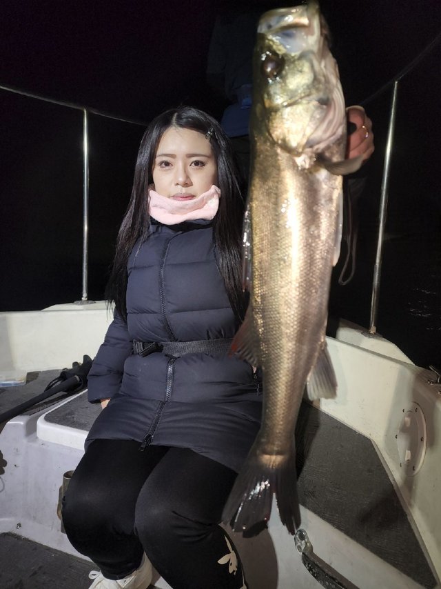 シーバス(スズキ)