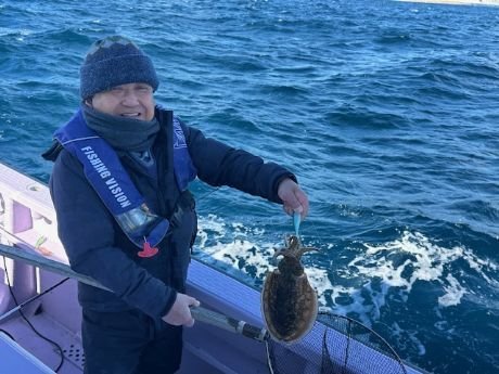 スミイカ(コウイカ)