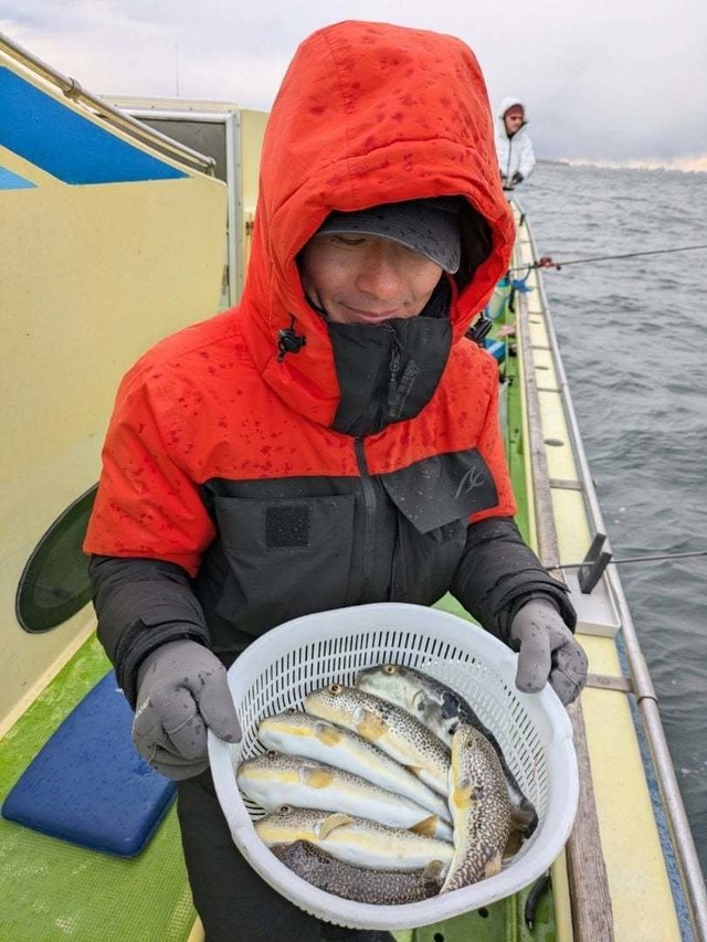 トラフグ・ショウサイフグ