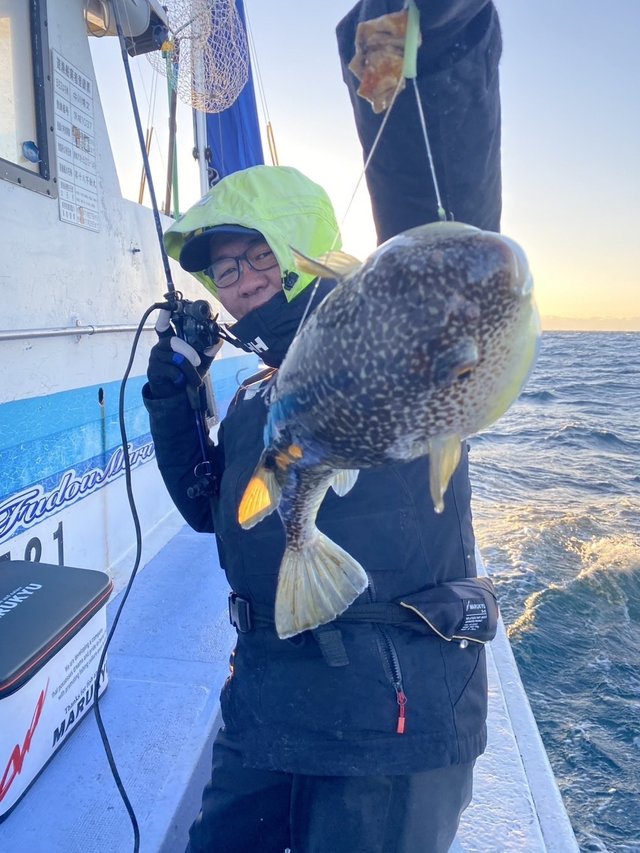 ショウサイフグ