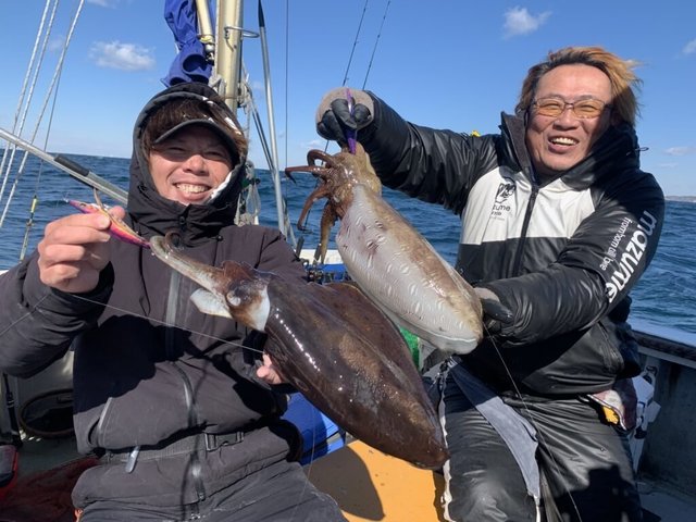 モンゴウ(カミナリイカ)