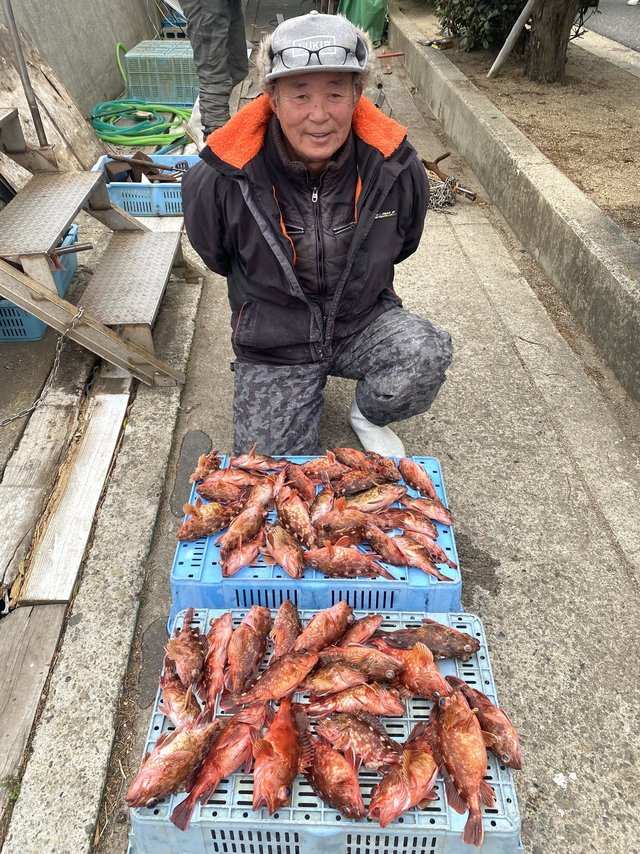 ガシラ(カサゴ)