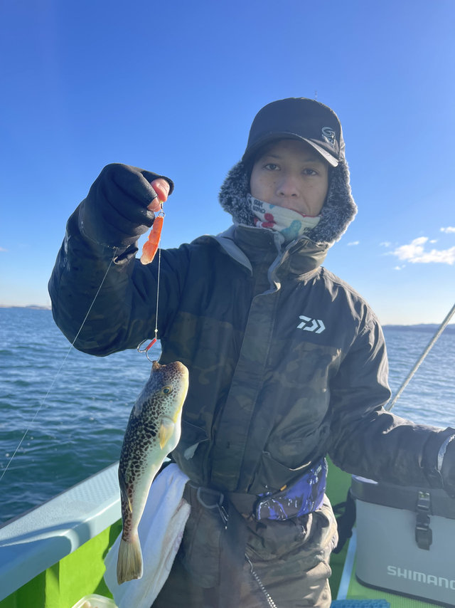 フグ(ショウサイフグ)