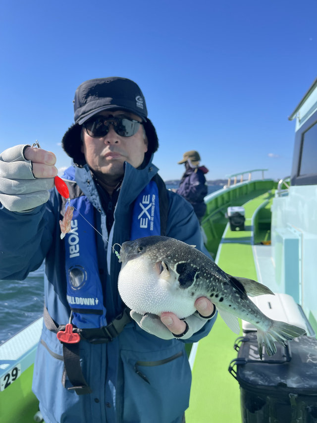 フグ(トラフグ)