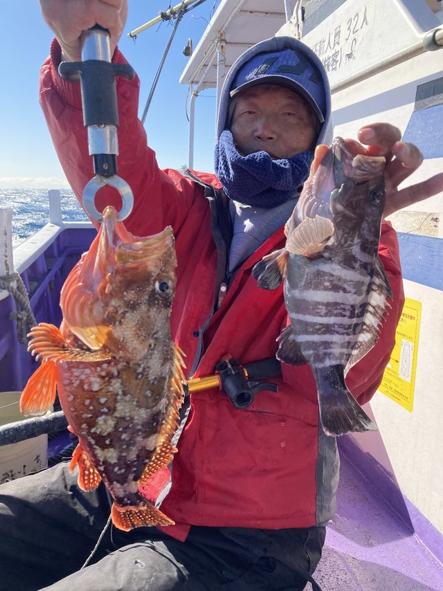 カサゴ・ハタ(マハタ)