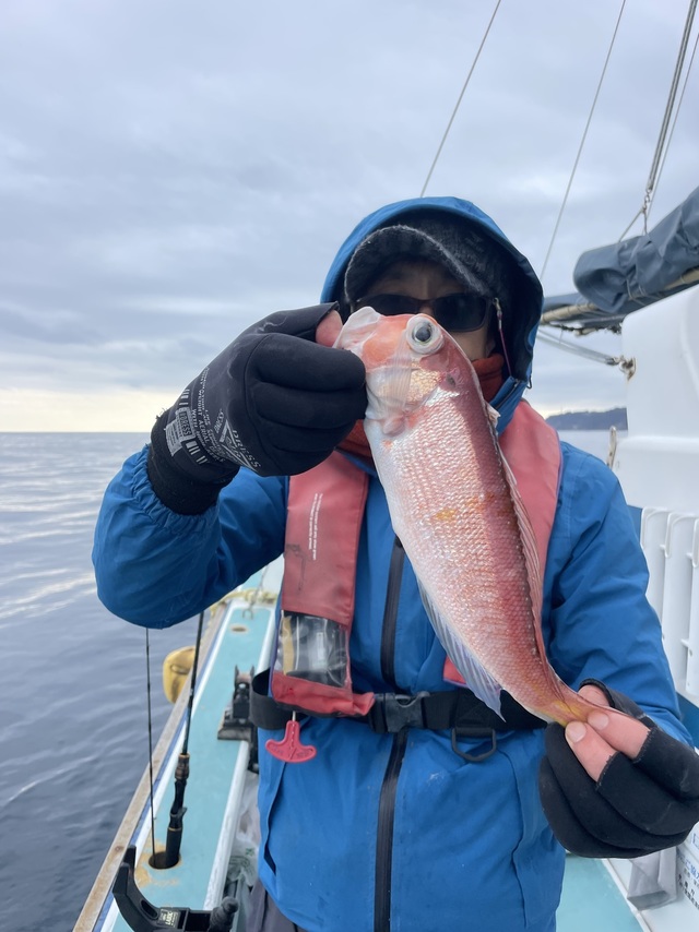 アマダイ(アカアマダイ)