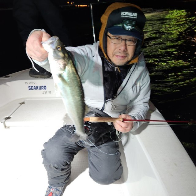 シーバス(スズキ)