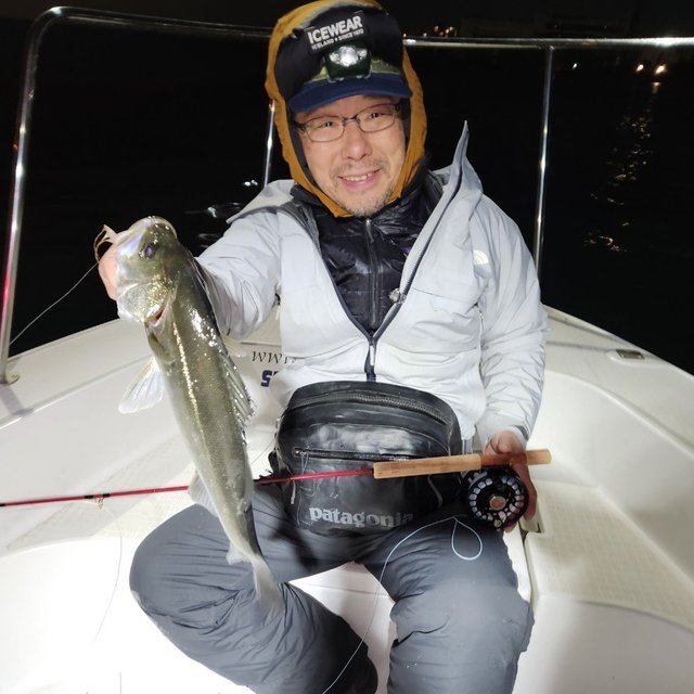 シーバス(スズキ)