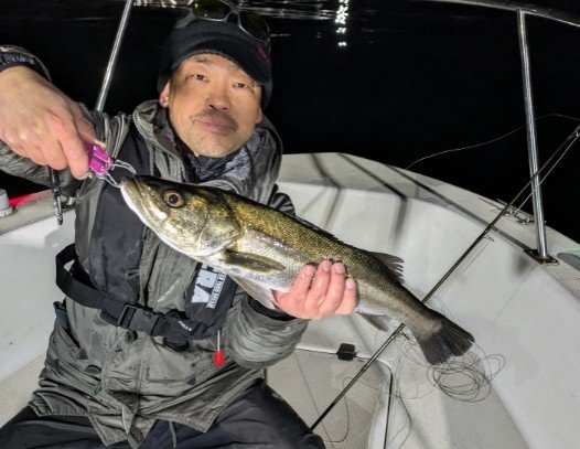 シーバス(スズキ)