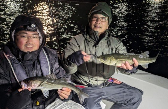 シーバス(スズキ)