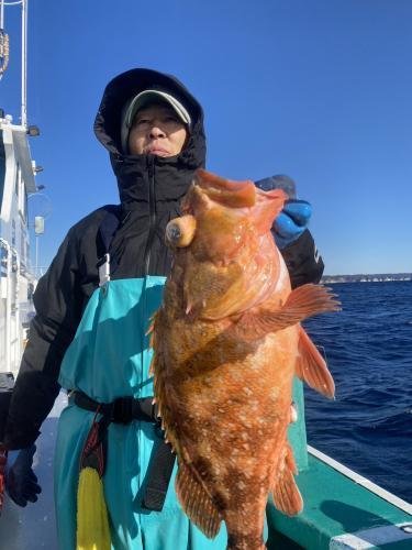 ウッカリカサゴ