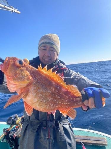 ウッカリカサゴ