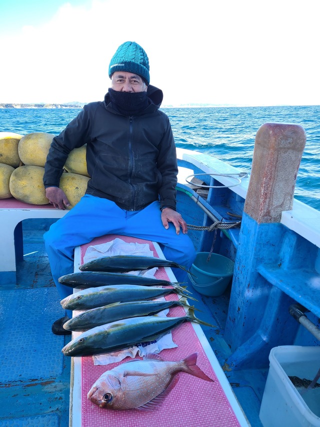 マダイ・イナダ(ブリ)