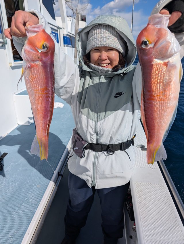 アマダイ(アカアマダイ)