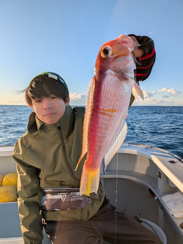 アマダイ(アカアマダイ)