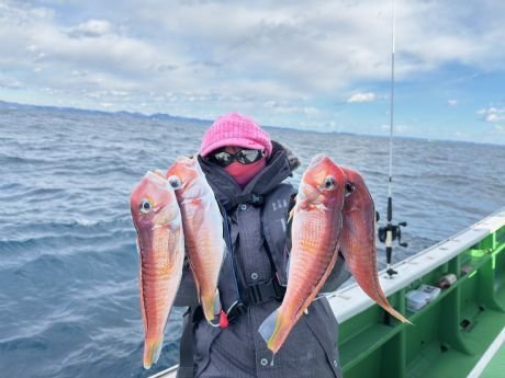 アマダイ(アカアマダイ)