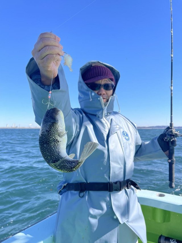 フグ(ショウサイフグ)