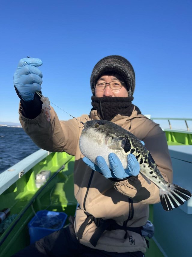 フグ(トラフグ)