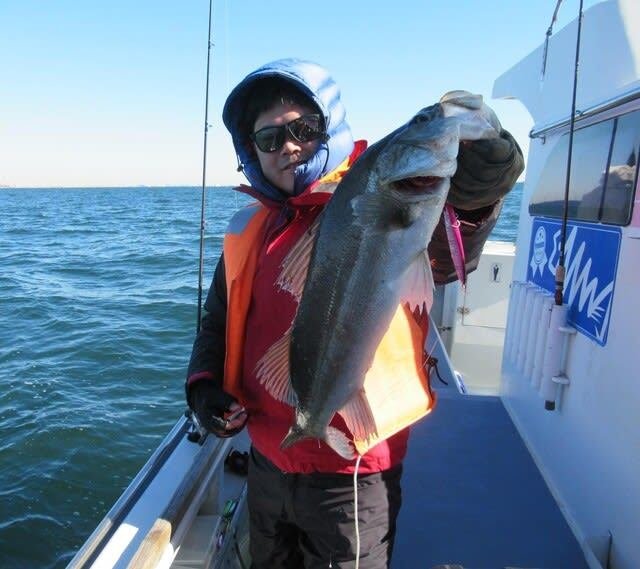 シーバス(スズキ)