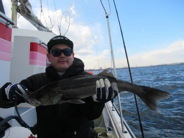 シーバス(スズキ)