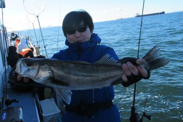 シーバス(スズキ)