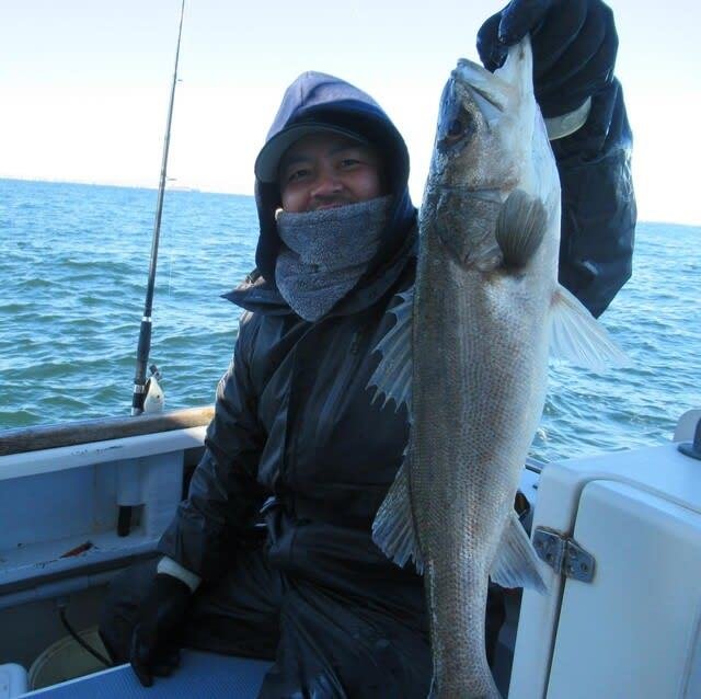 シーバス(スズキ)