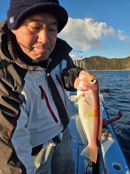 アマダイ(アカアマダイ)