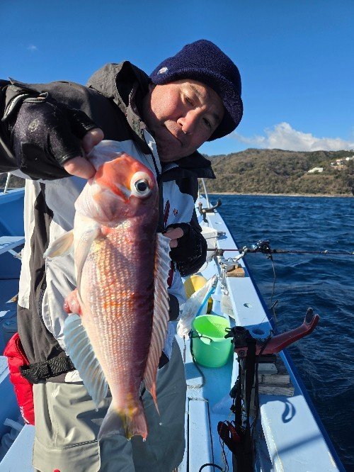 アマダイ(アカアマダイ)