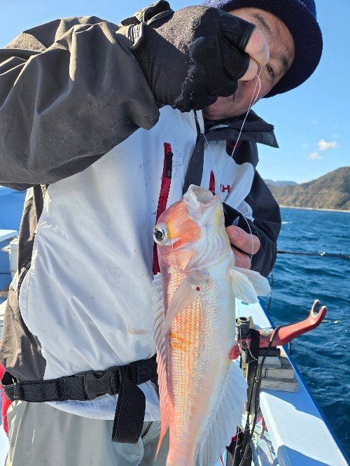 アマダイ(アカアマダイ)