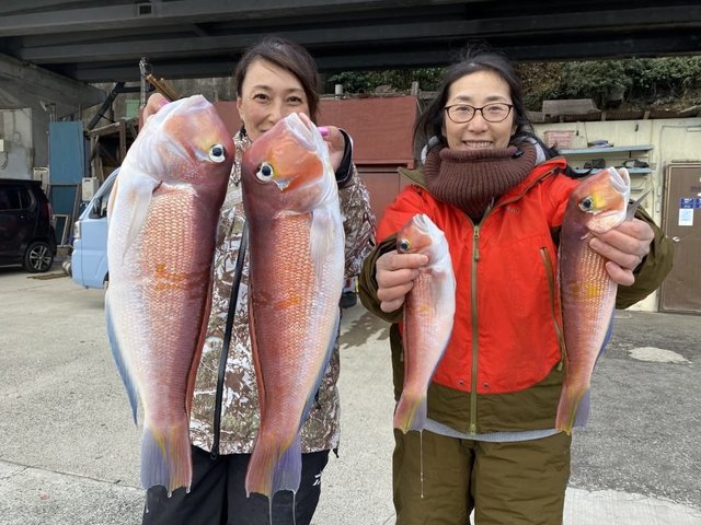 アマダイ(アカアマダイ)