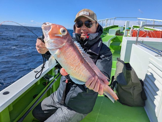 アマダイ(アカアマダイ)